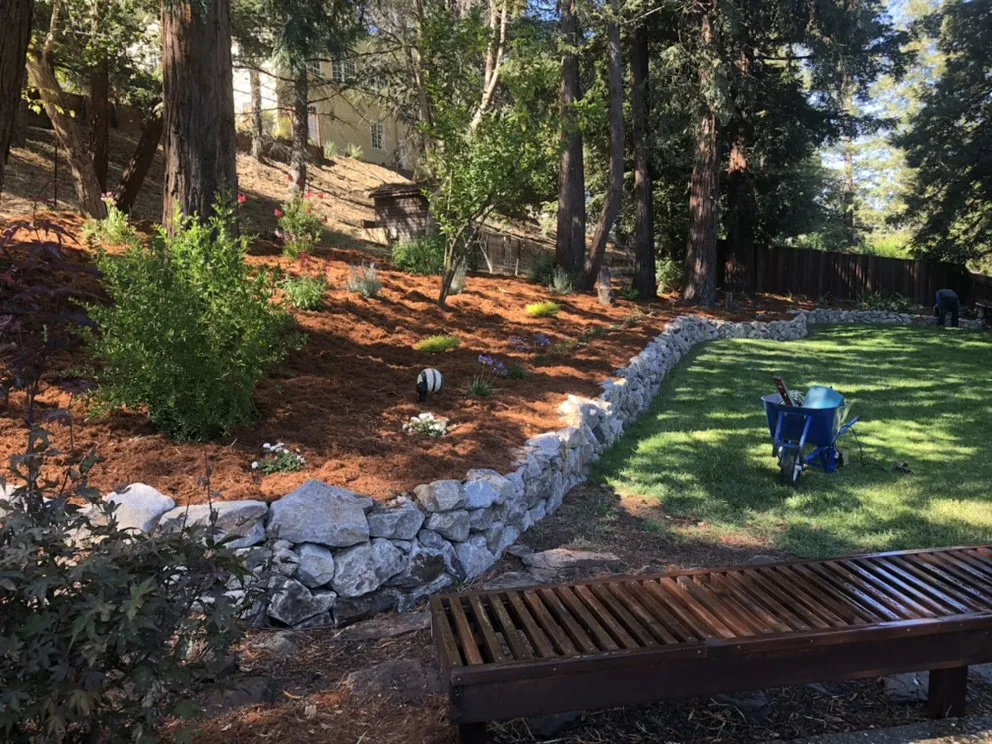 Top-rated vinyl fence installation for homes in Concord, CA by Native Earth