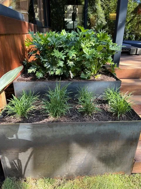 Expert fence installation service in Austin, TX - Native Frontier