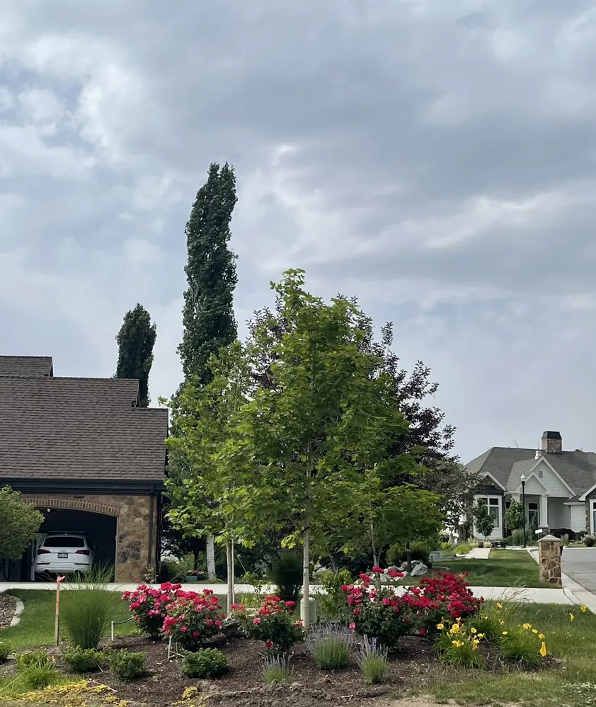 Reliable fence repair service in Roy, UT - NUscapes