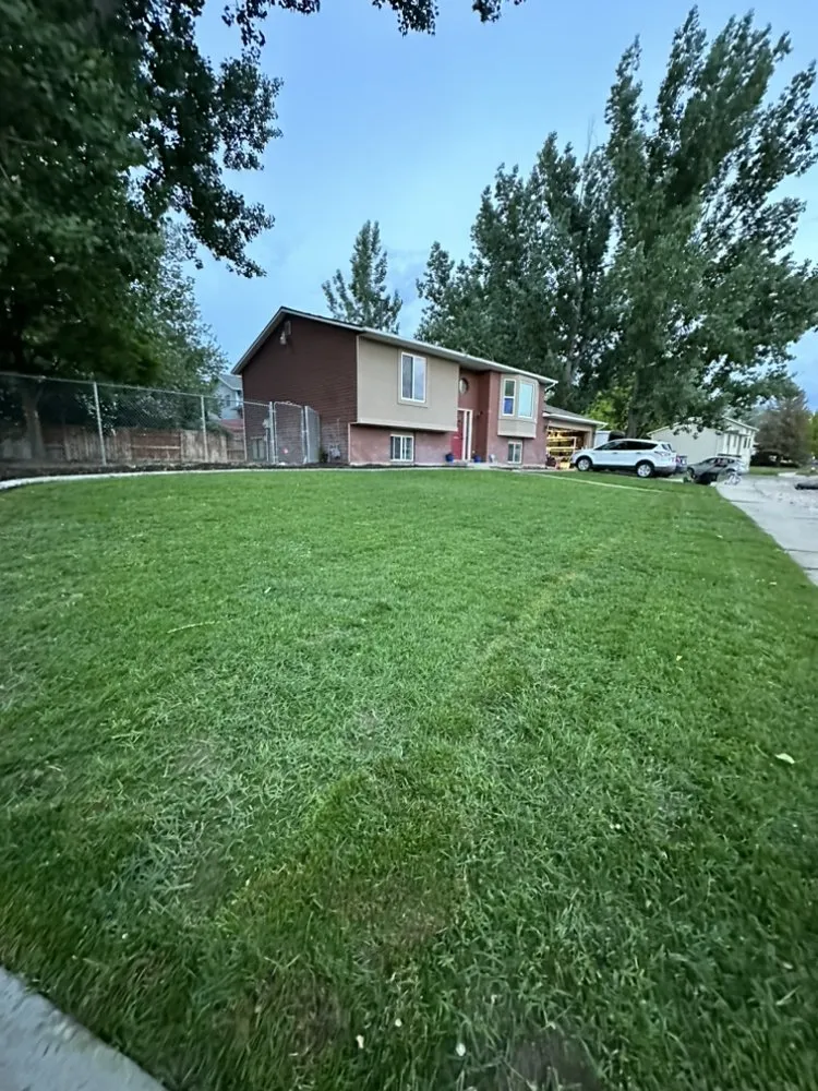 Local chain link fencing service in Roy, UT - NUscapes