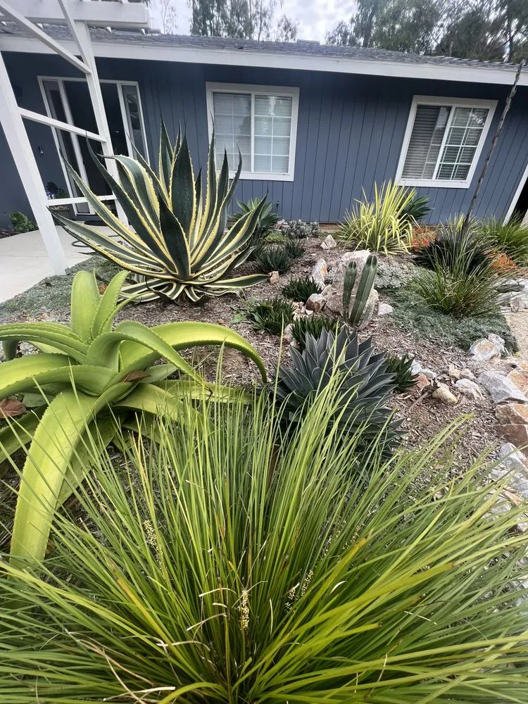 Trusted chain link fencing in Oceanside, CA by Outer Spaces Landscape