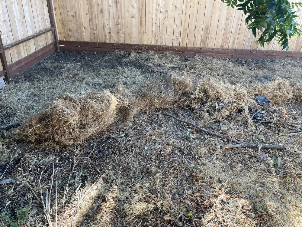 Professional vinyl fence installation in CA, CA by Packmans Junk Removal