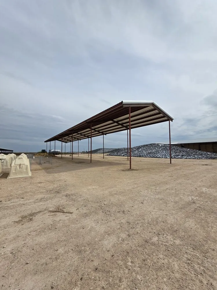 Professional wood fence service service in Sunray, TX - Panhandle Builders