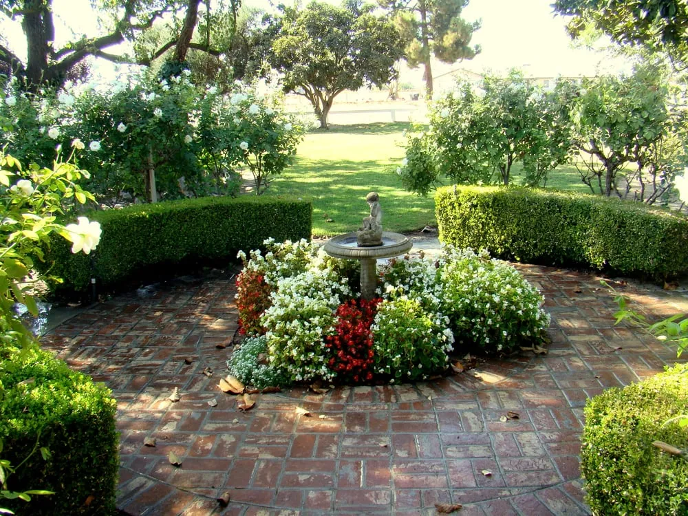 Professional chain link fencing service in Clovis, CA - Parker Landscape
