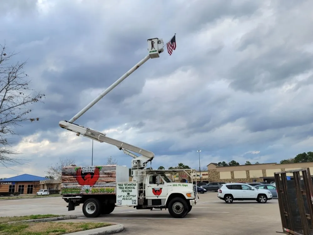 Expert privacy fencing experts serving Spring, TX - Phoenix Driven Services