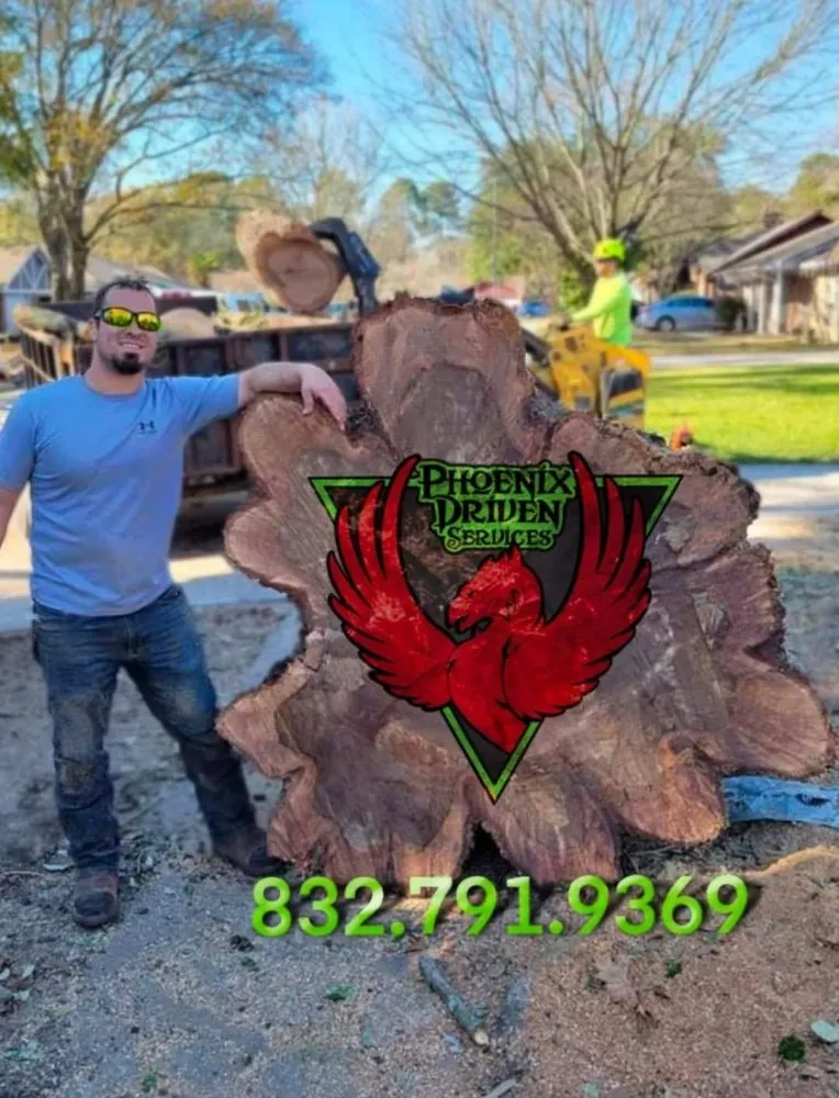 Trusted chain link fencing for homes in Spring, TX by Phoenix Driven Services
