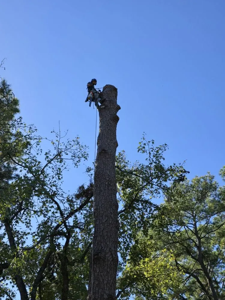 Quality wood fence service experts serving Spring, TX - Phoenix Driven Services