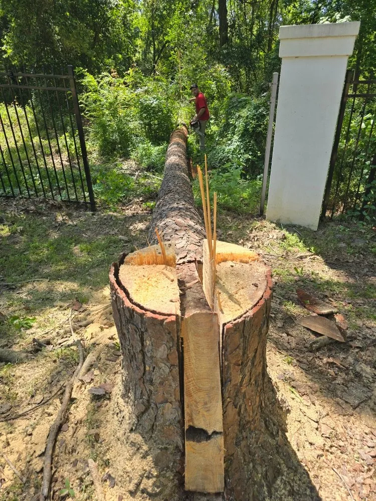 Trusted wood fence service service in Spring, TX - Phoenix Driven Services