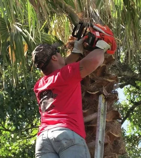 Professional wood fence service service in Spring, TX - Phoenix Driven Services