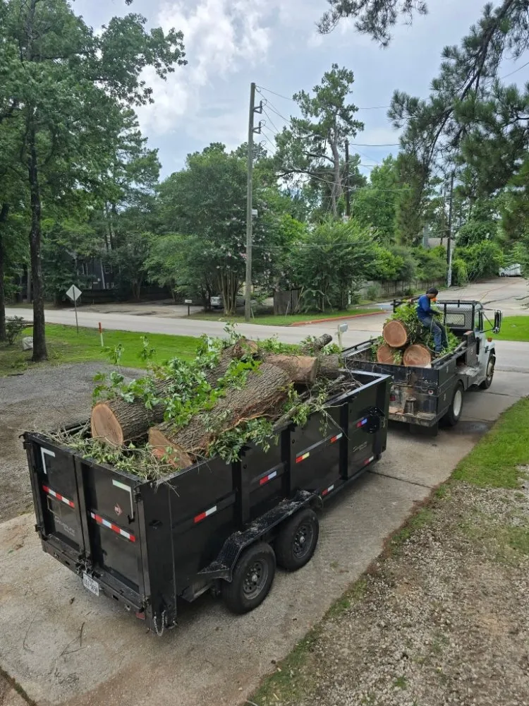Expert wood fence service for homes in Spring, TX by Phoenix Driven Services