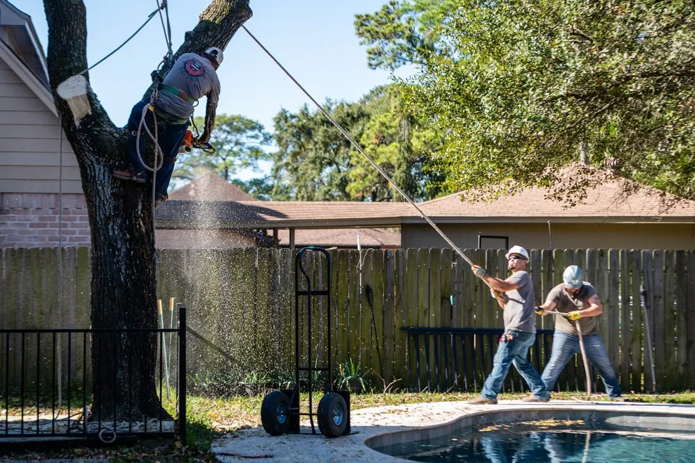 Trusted chain link fencing experts serving Spring, TX - Phoenix Driven Services