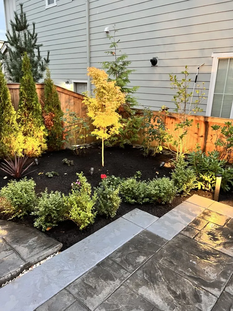 Affordable privacy fencing service in Bothell, WA - Precise Landscaping