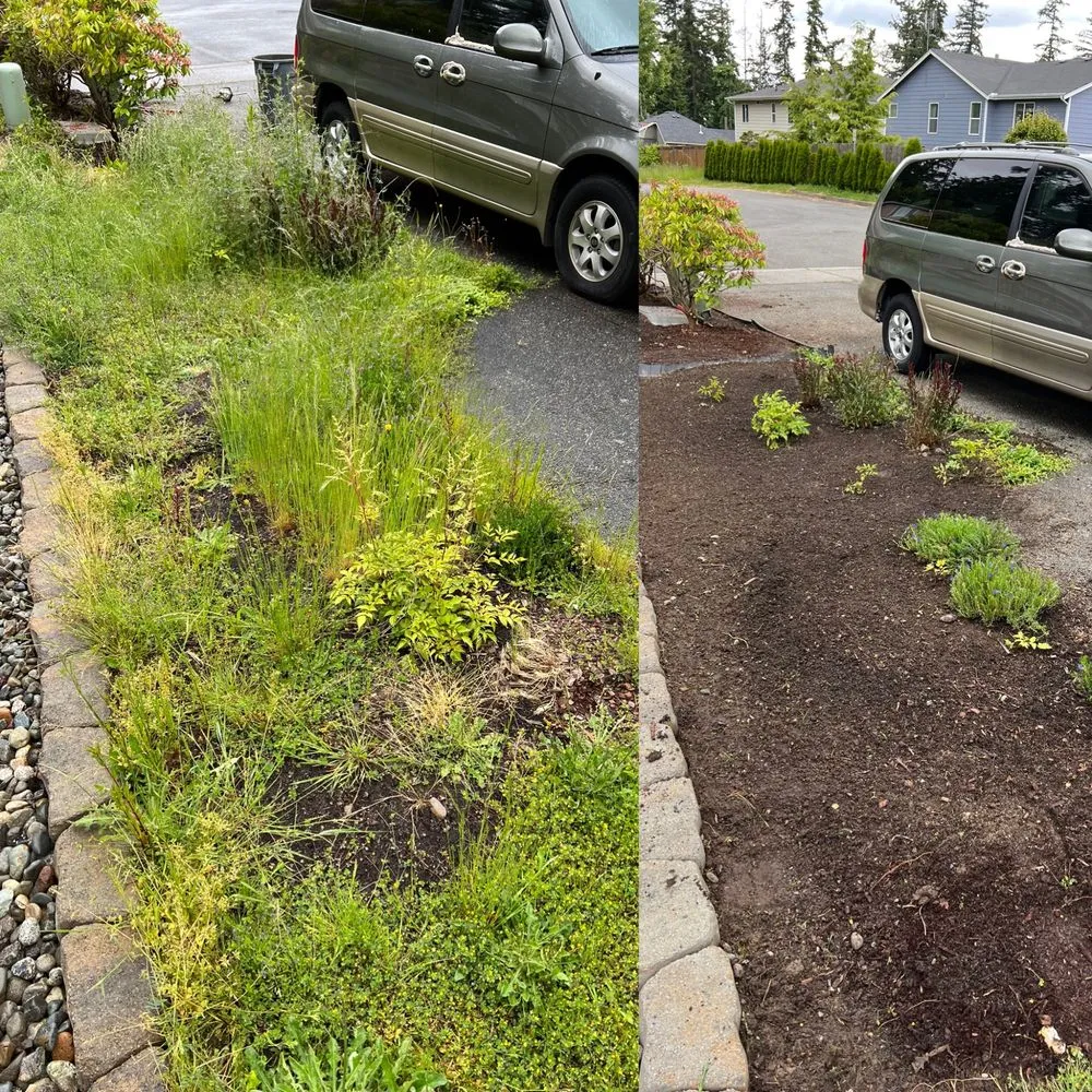Expert wood fence service experts serving Bothell, WA - Precise Landscaping