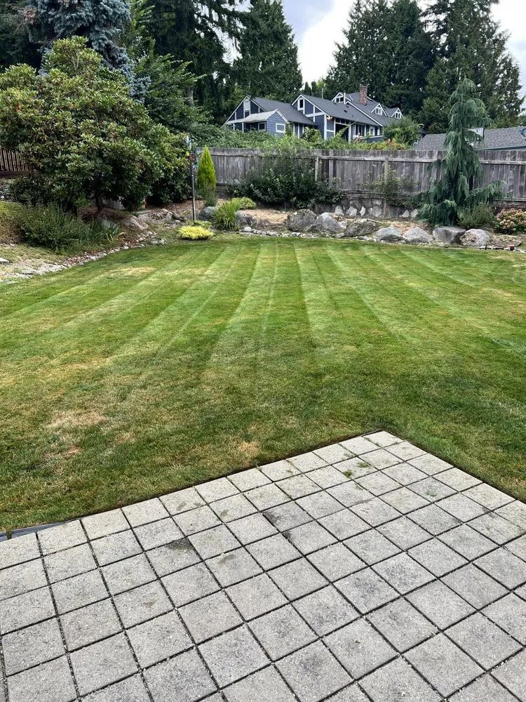 Local chain link fencing service in Bothell, WA - Precise Landscaping