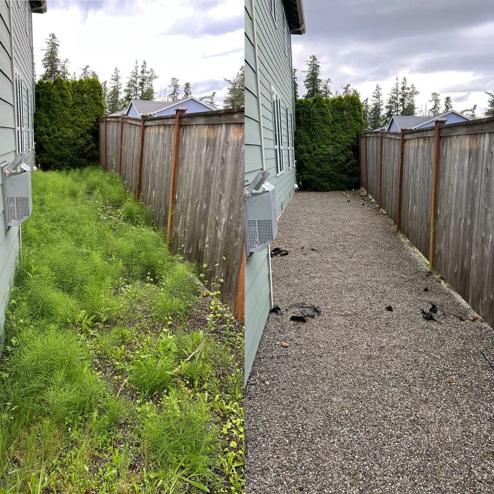 Quality vinyl fence installation service in Bothell, WA - Precise Landscaping