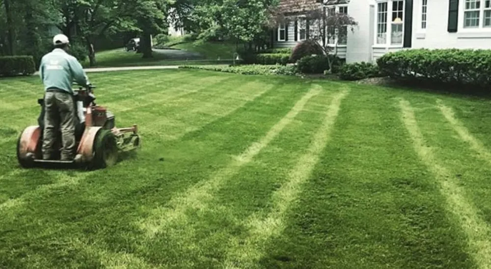 Professional fence repair in Sparrow Bush, NY by Priority One - Code Green