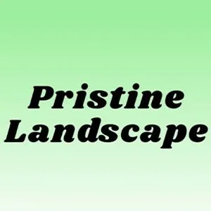 Expert chain link fencing for homes in Mission, TX by Pristine Landscape