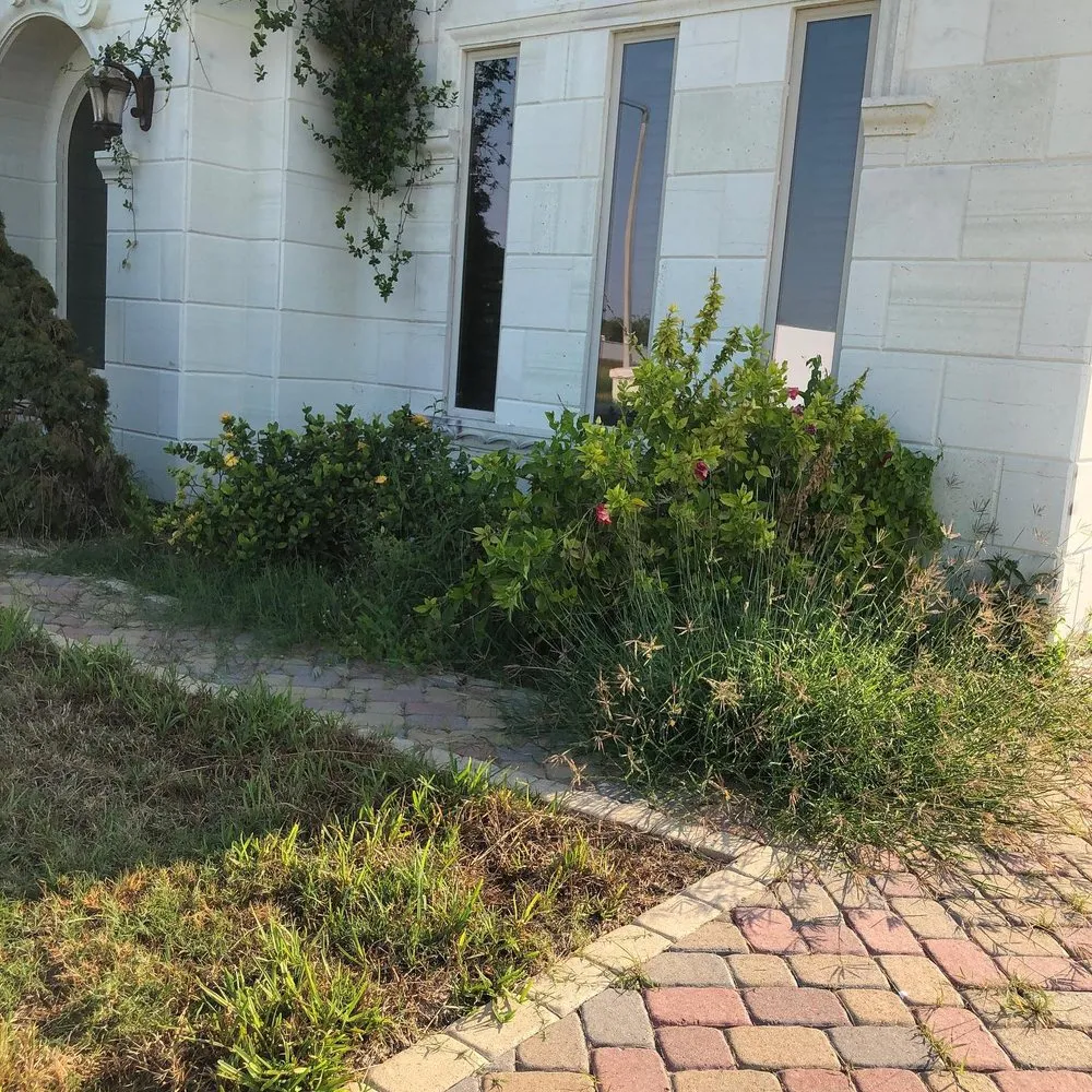 Affordable vinyl fence installation for homes in Mission, TX by Pristine Landscape