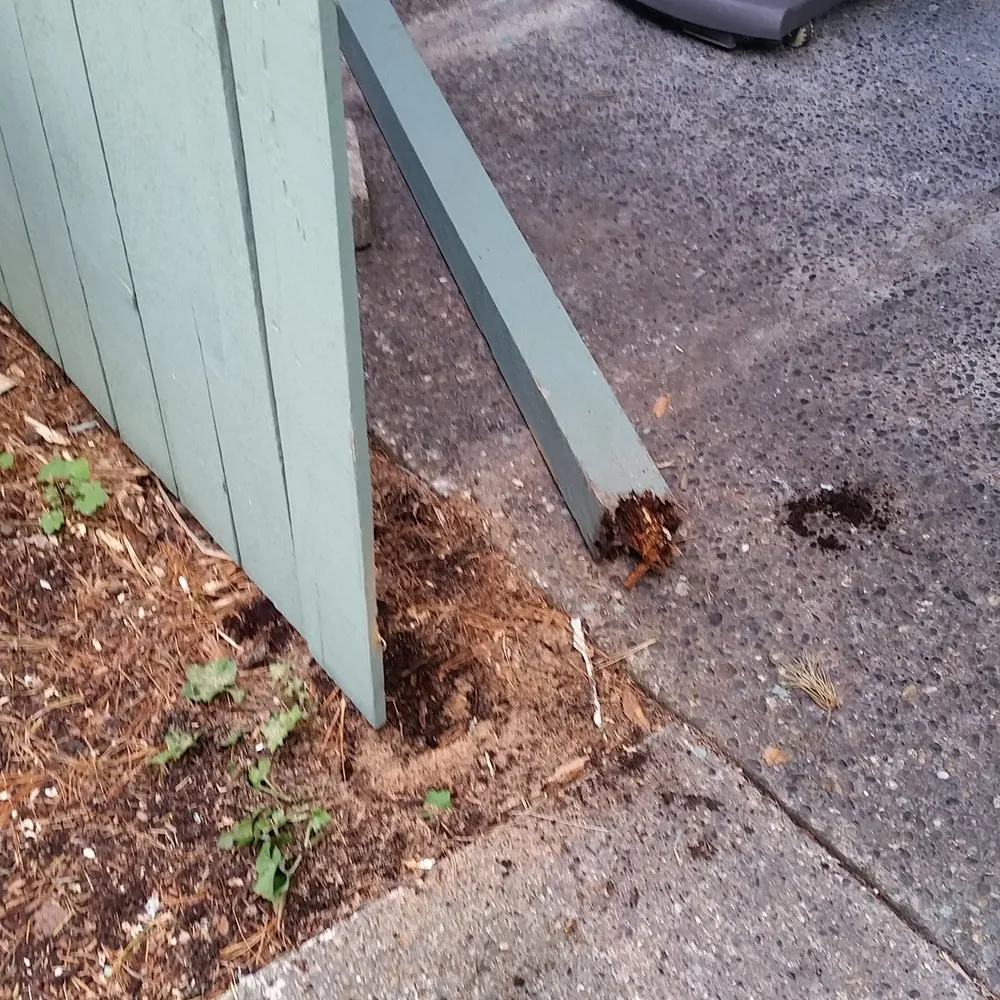 Top-rated fence repair for homes in Everett, WA by Property Maintenance