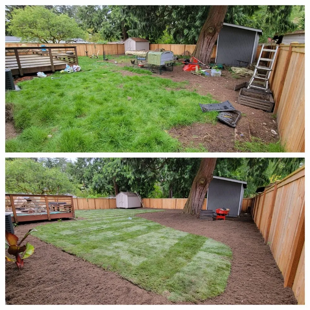 Trusted privacy fencing for homes in Bothell, WA by Prosper Landscape & Construction
