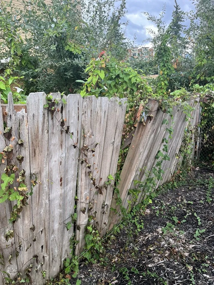 Professional wood fence service in Bothell, WA by Prosper Landscape & Construction