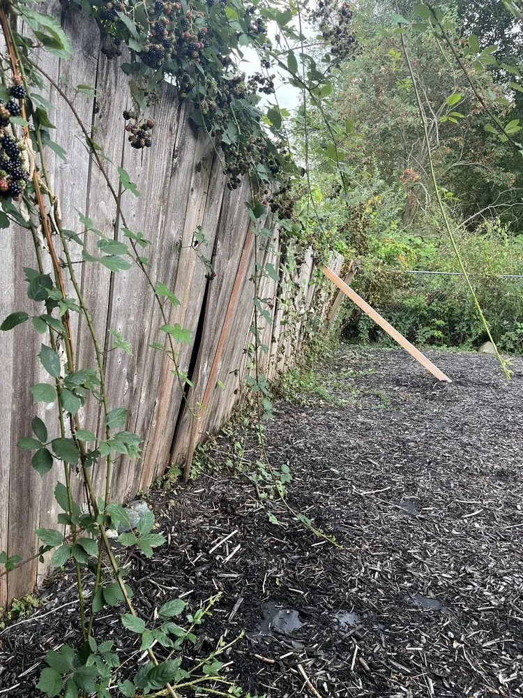 Top-rated privacy fencing service in Bothell, WA - Prosper Landscape & Construction