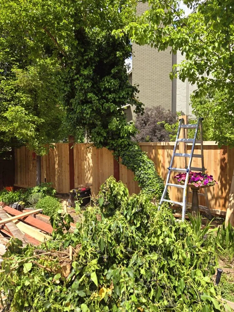 Professional fence installation experts serving Sandy, UT - Reasonable Tree Services