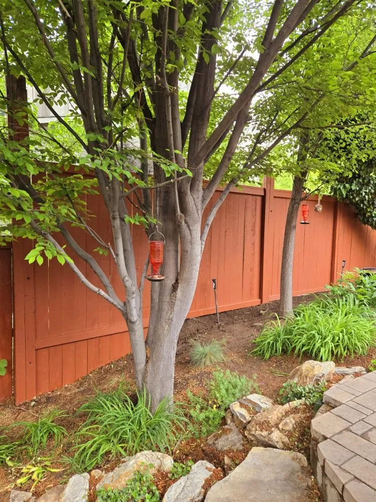 Reliable chain link fencing in Sandy, UT by Reasonable Tree Services