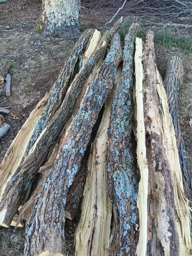 Quality wood fence service service in Deep Gap, NC - Ridge Runner Construction