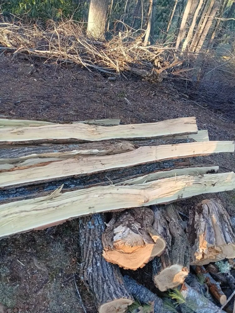 Quality fence repair experts serving Deep Gap, NC - Ridge Runner Construction