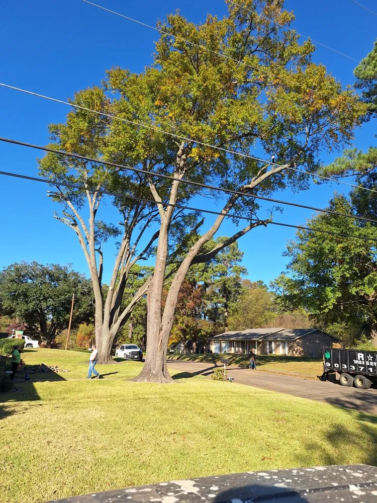 Trusted fence installation experts serving Gladewater, TX - R&M Tree Services