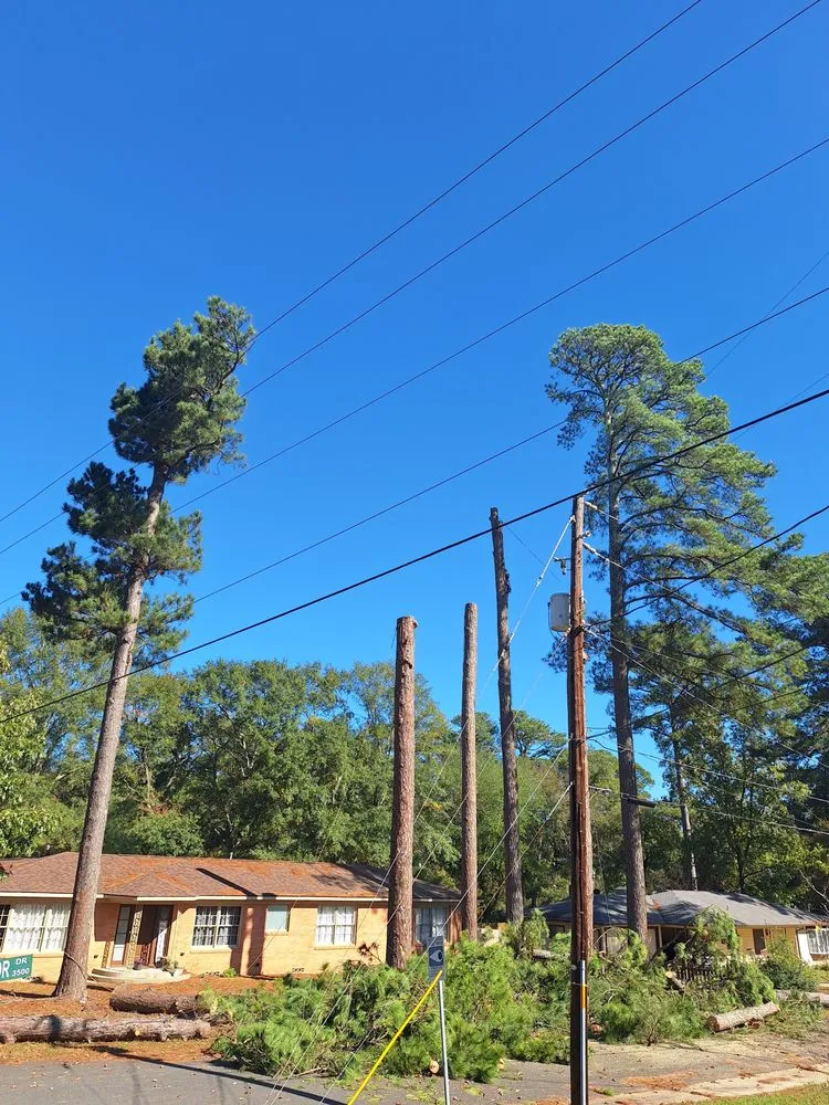 Affordable wood fence service in Gladewater, TX by R&M Tree Services