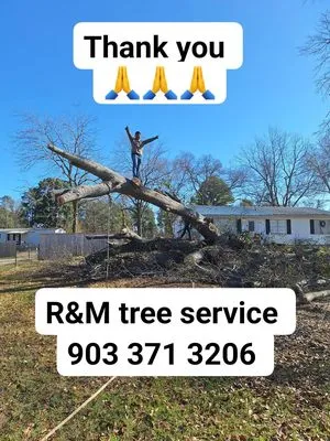 R&M Tree Services Logo