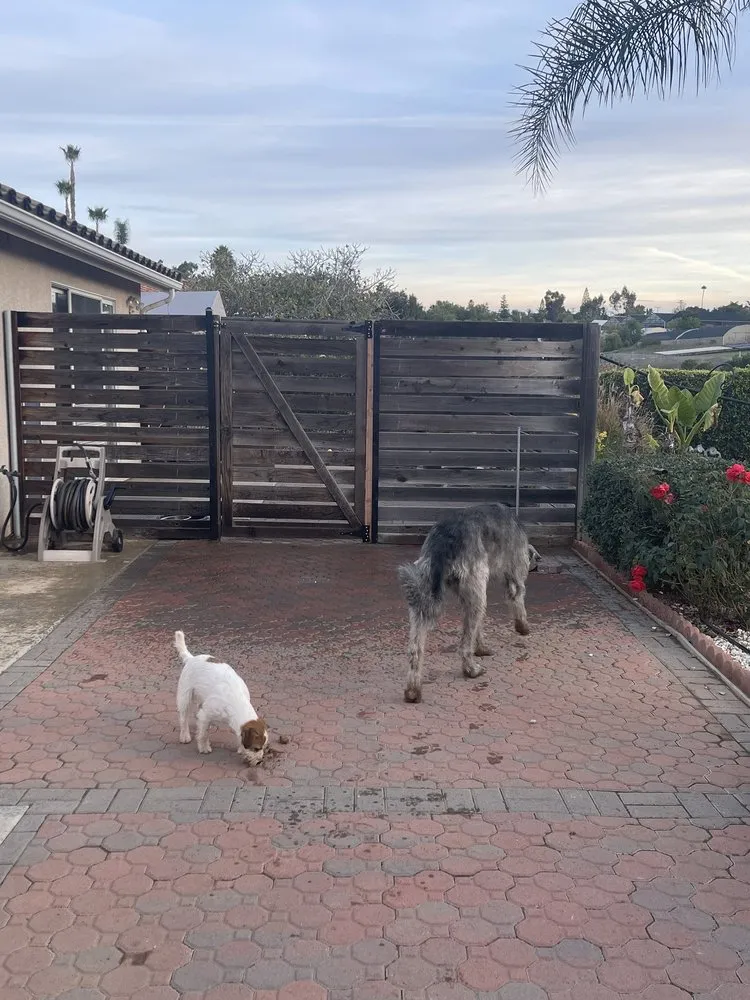 Expert vinyl fence installation in Fallbrook, CA by Sequence Fencing & Gates