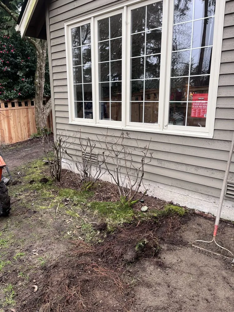 Top-rated wood fence service experts serving Everett, WA - Solid Ground Landscape