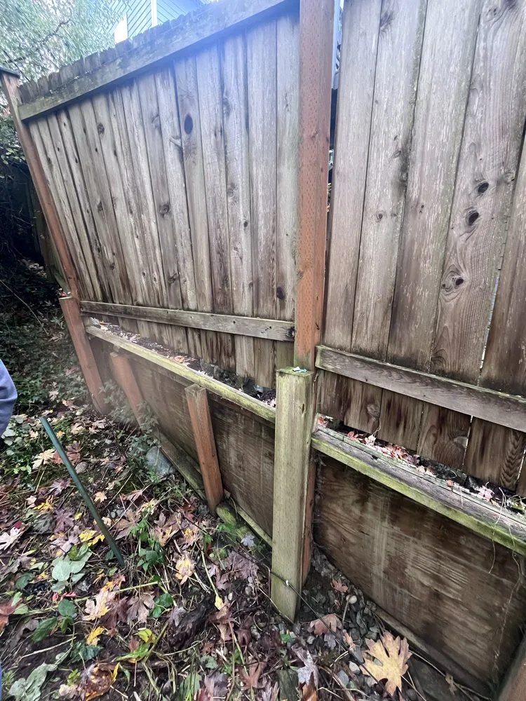 Local wood fence service service in Everett, WA - Solid Ground Landscape