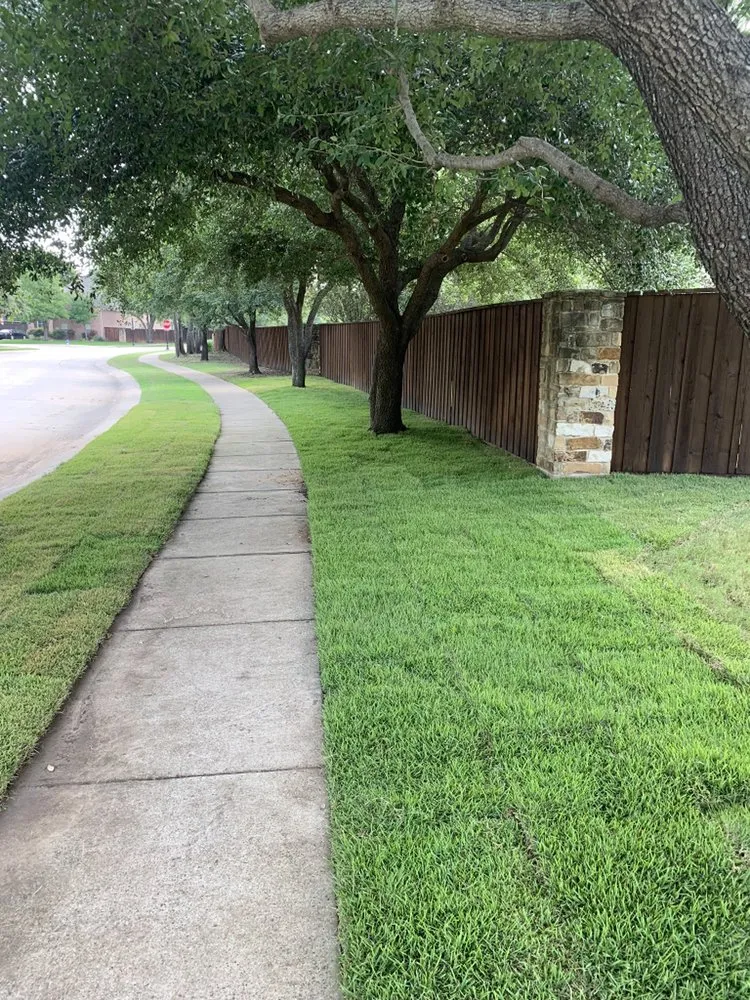 Trusted fence installation service in Allen, TX - Solid Steele Customs