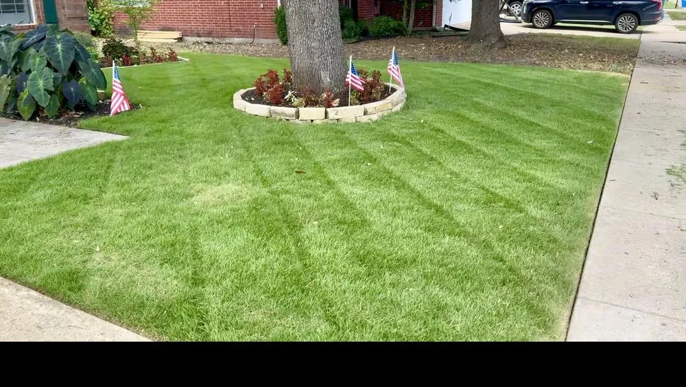 Quality fence installation service in Rowlett, TX - Structurescapes
