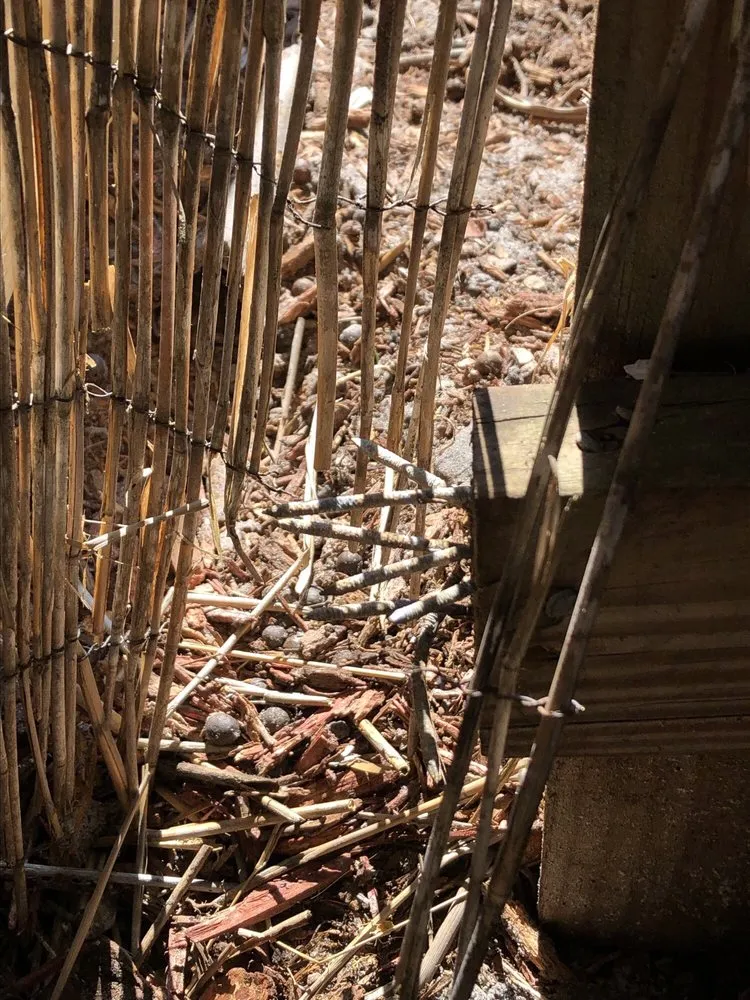 Reliable wood fence service in Stuart, FL by Stuart Fence