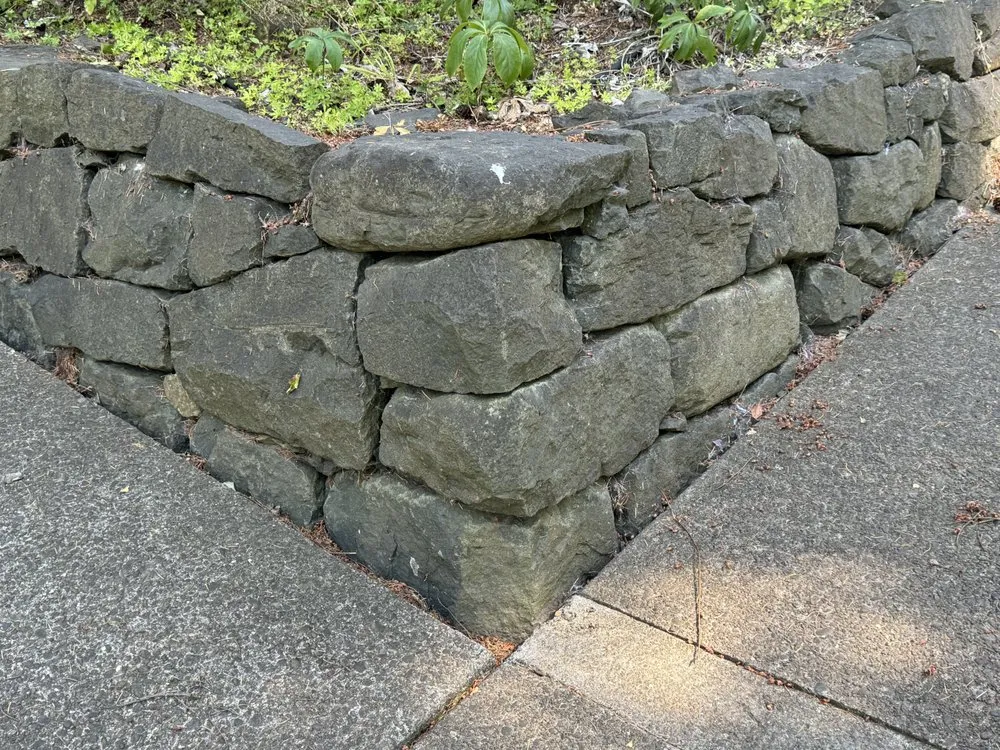 Expert chain link fencing in Springfield, OR by Sunset Winds Designs