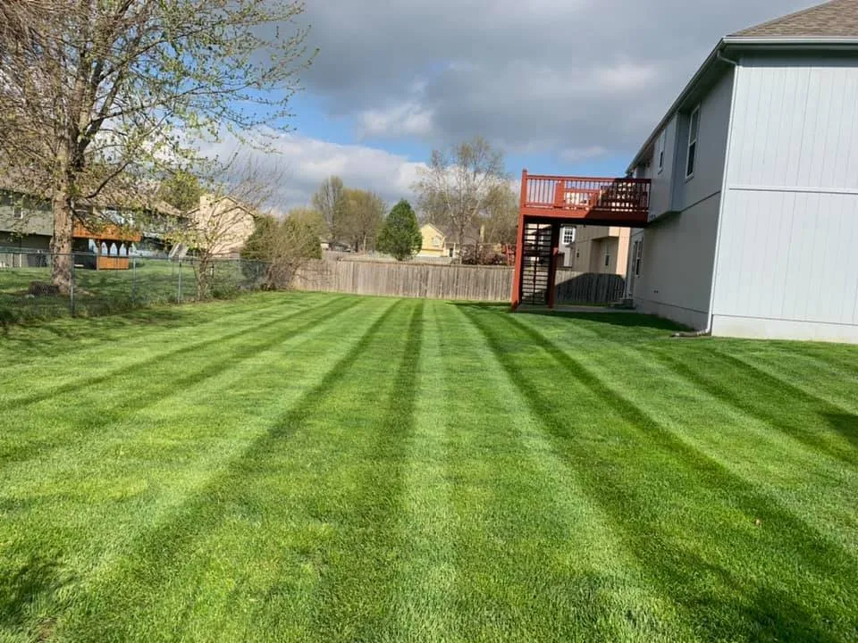 Affordable fence installation service in Raymore, MO - Superior Pro