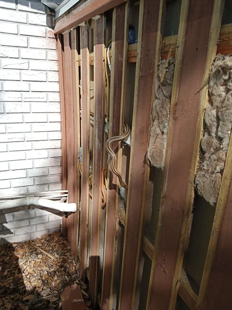 Reliable wood fence service service in Ormond Beach, FL - TDB Enterprises