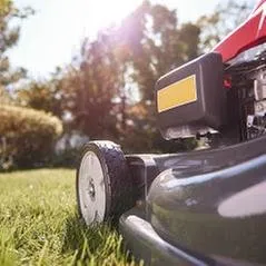 Reliable fence installation service in Naples, FL - TGC