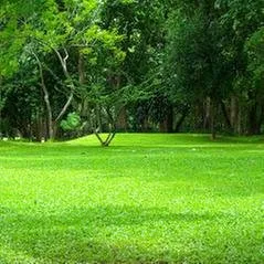 Trusted privacy fencing for homes in Naples, FL by TGC