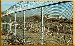 Expert privacy fencing in Industry, CA by USA razor