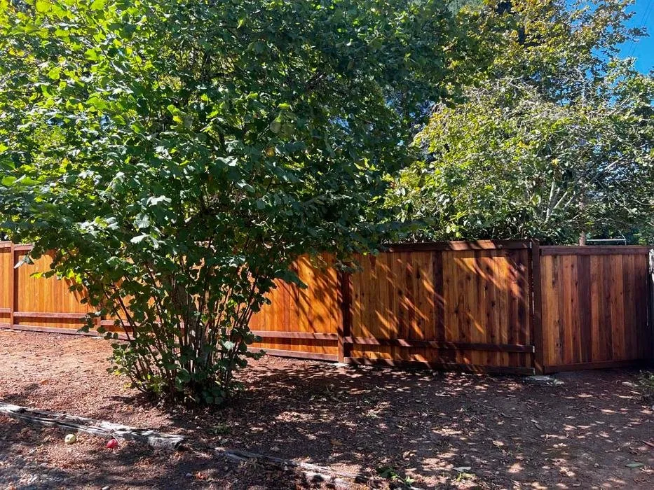 Quality vinyl fence installation service in Springfield, OR - Wilder Construction