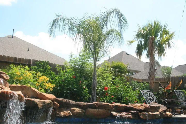 Affordable chain link fencing service in Cypress, TX - Yardmasters